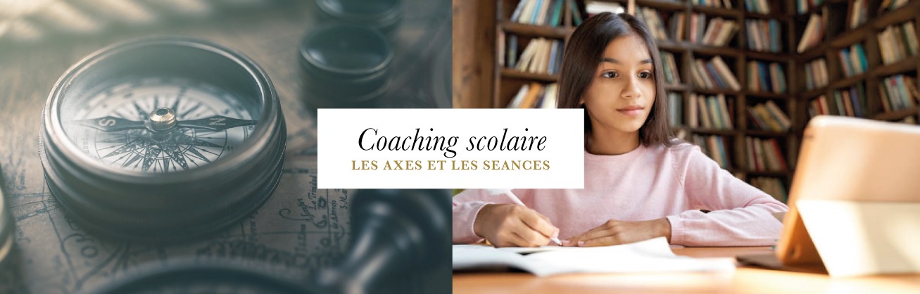 COACH SCOLAIRE 78 VESINET ETUDIANT STRESS EXAMEN ORIENTATION